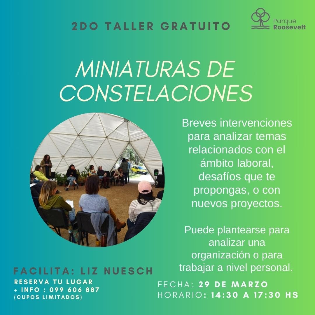 Miniaturas de ConstelacionesAbordaje sistémico para el análisis de diferentes temas de la vida personal, laboral comunitario.