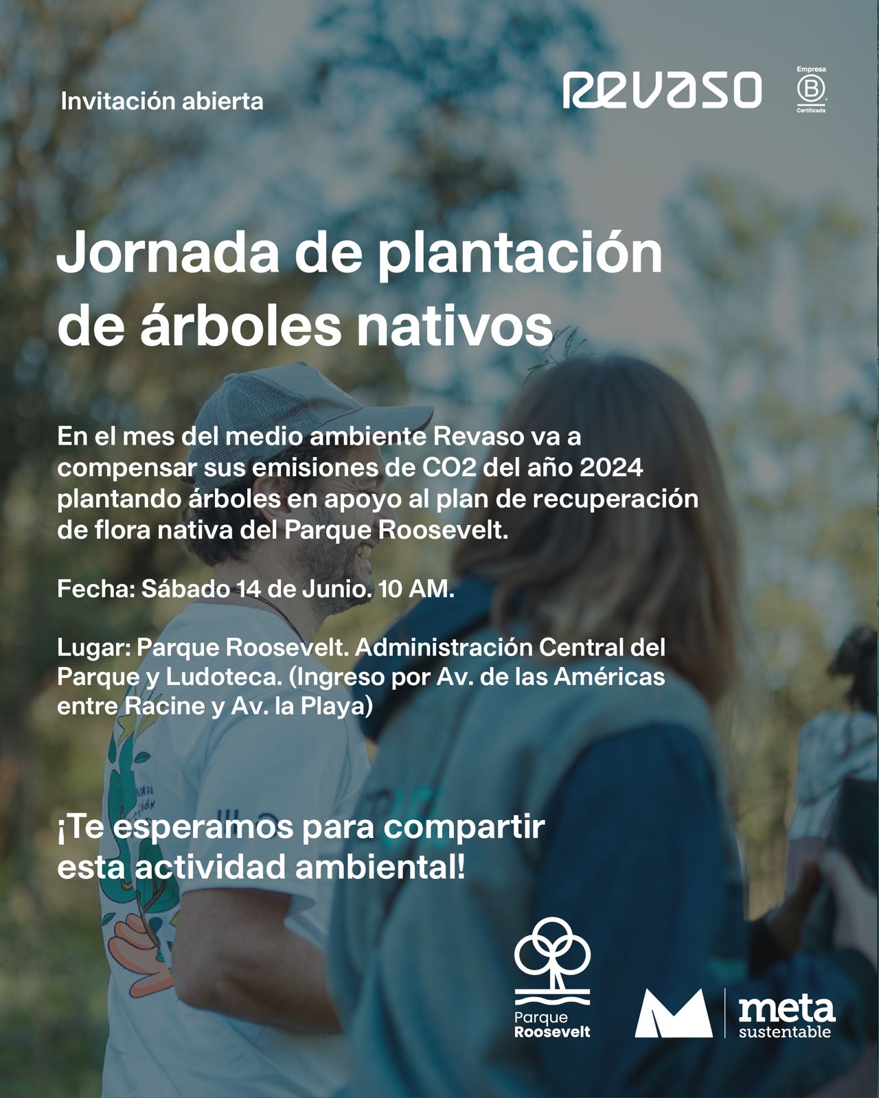 Plantación de árboles