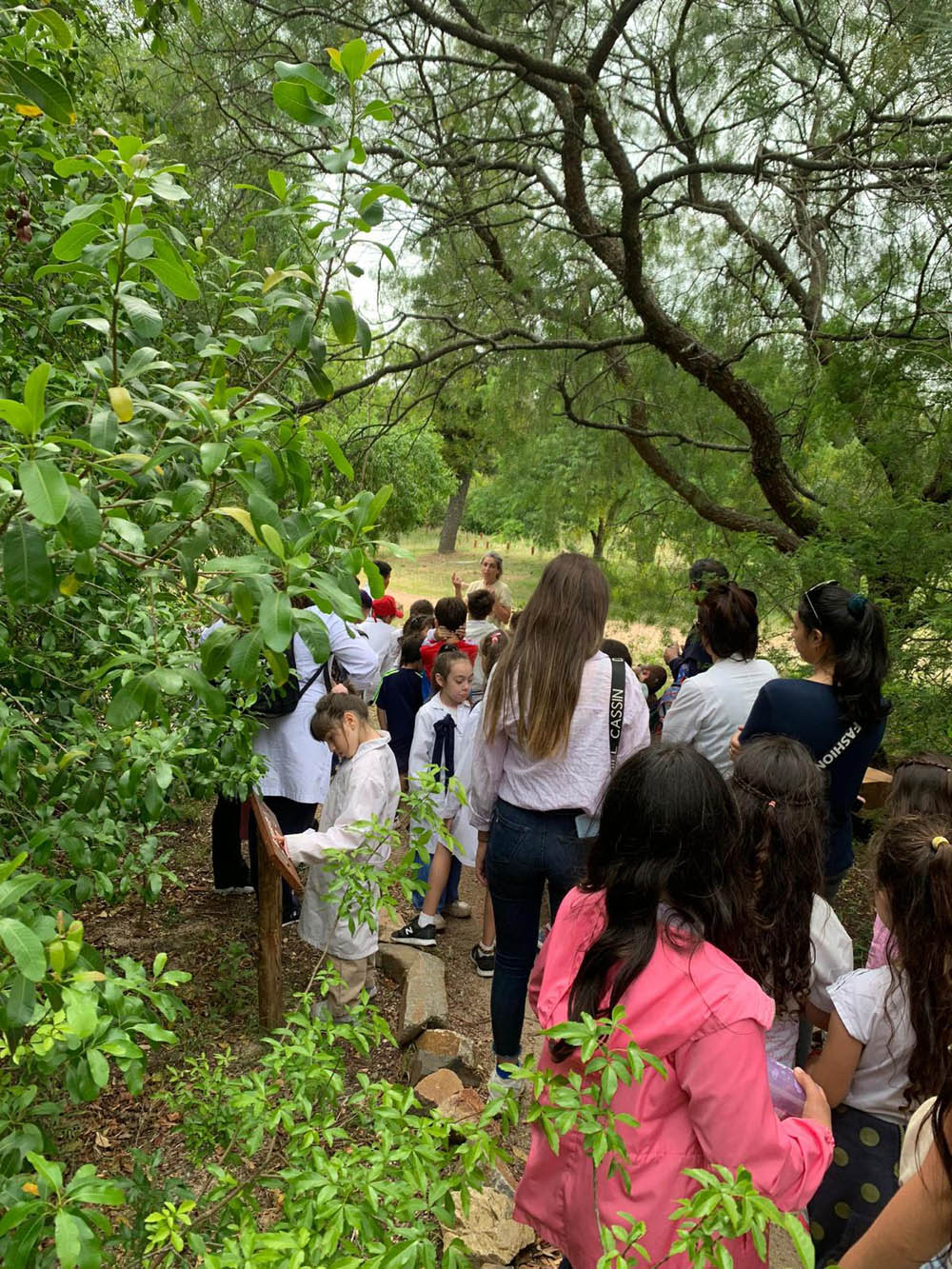 Programa Lúdico ambiental