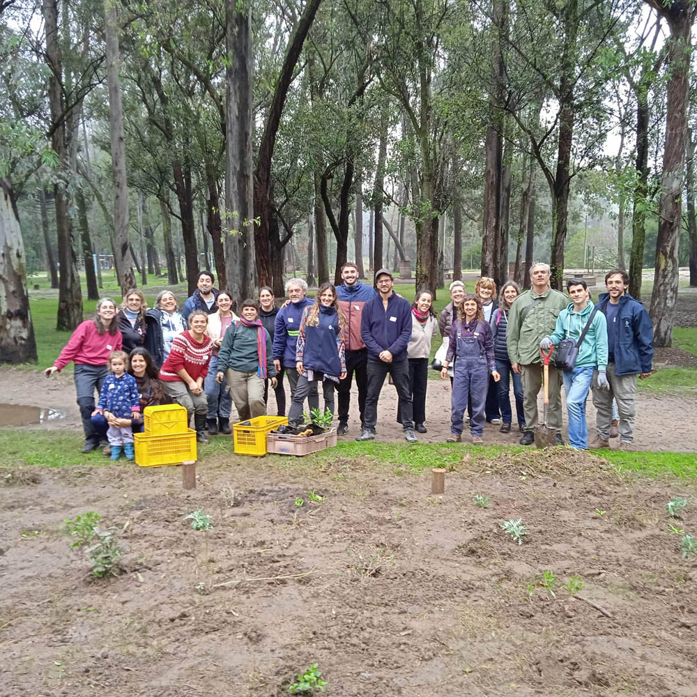 Canteros demostrativos