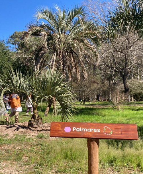 Palmares