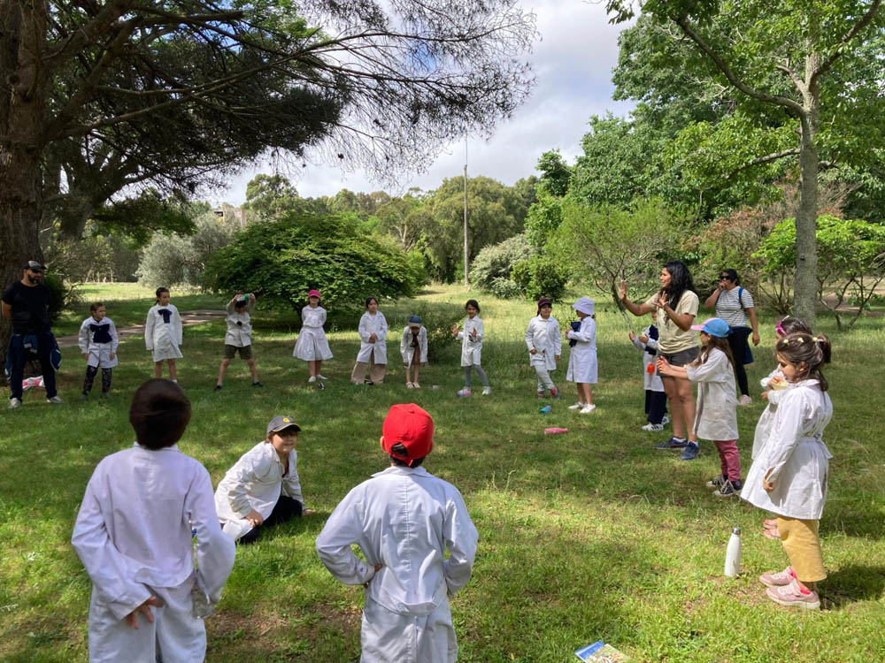 Programa Lúdico ambiental
