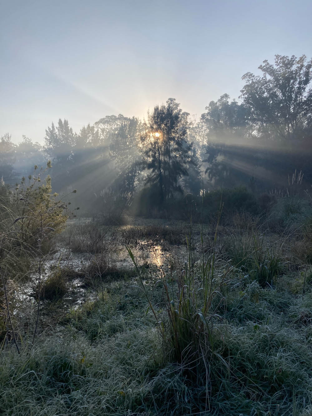 Senderos del humedal