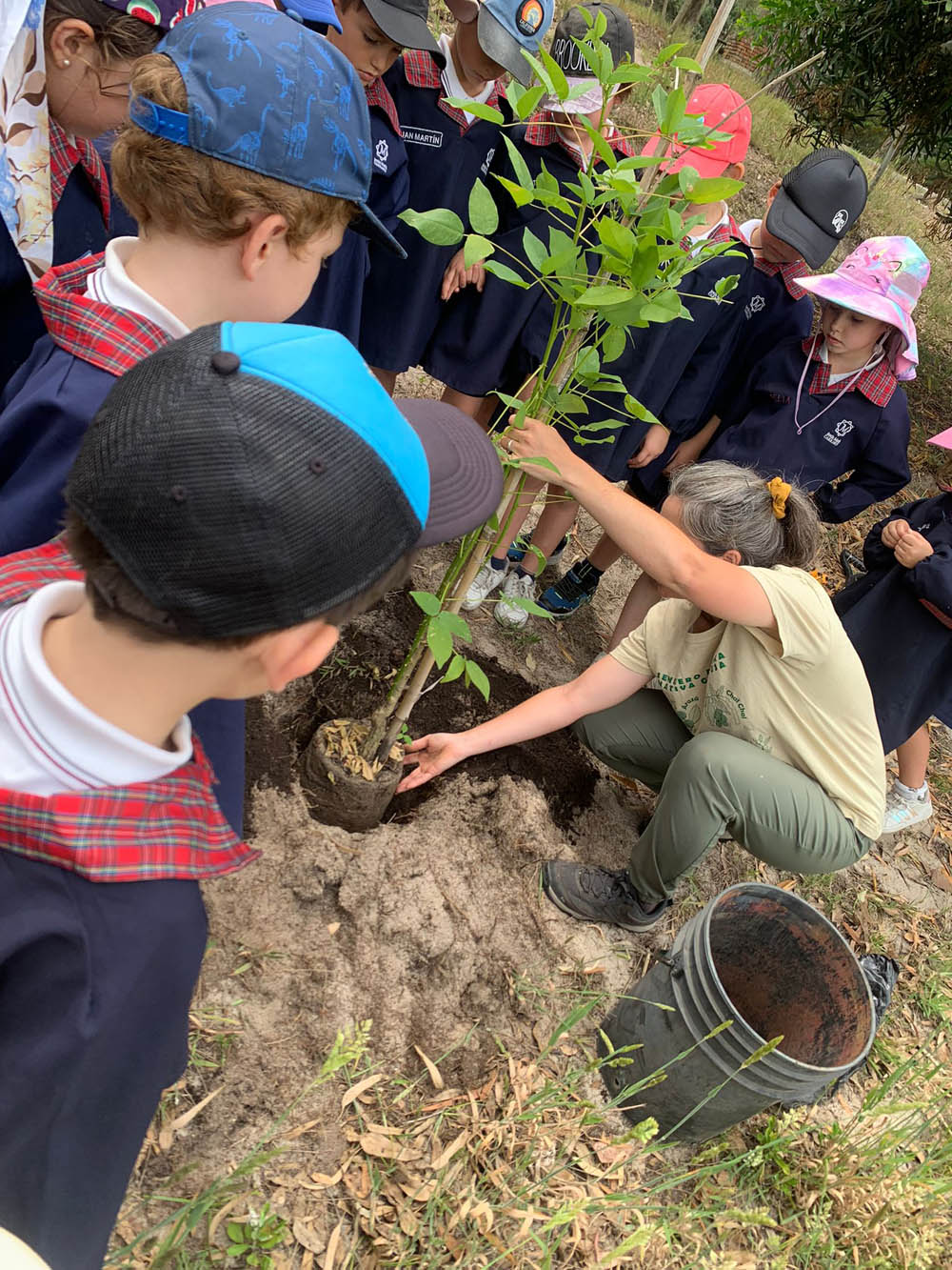 Programa Lúdico ambiental