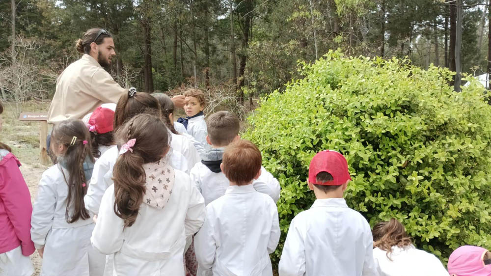Programa Lúdico ambiental
