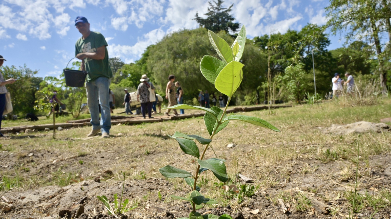 Plantación Sendero de la Memoria