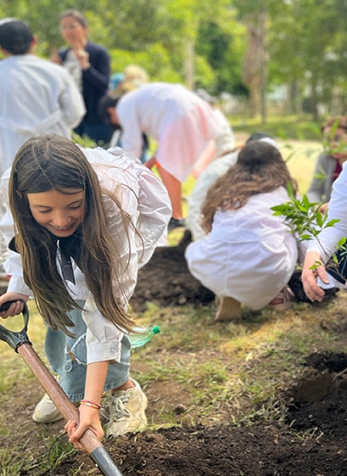 Plan de plantaciones 2026