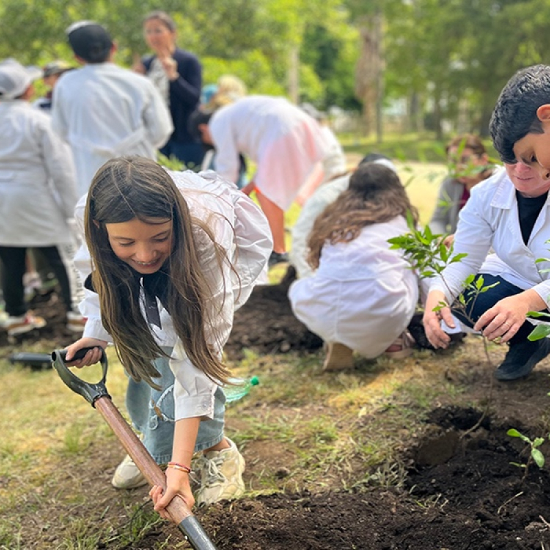 Plan de plantaciones 2026