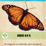 Mariposa Monarca