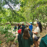 niños y niñas reconociendo características de la flora nativa