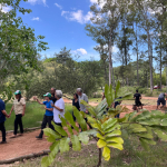 Paseo sendero