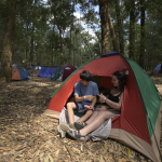 Carpas