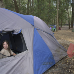 Carpas