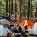 Carpas