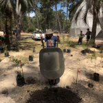 Plantació Campamento Hacelo tuyo