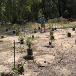 Plantación campamento