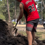 Plantación en campamento