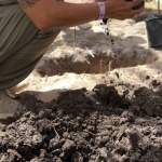 Plantación campamento