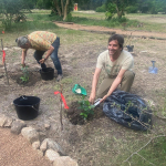 Plantación Memoria