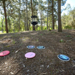 Bosque y discos