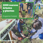 PLANTACIONES