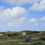 Estacionamiento Fracción 5