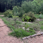 Construcción de Caminos