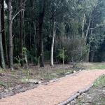 Camino y Plantación