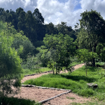 General Sendero