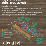 Proyecto