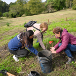 presentacion sendero 