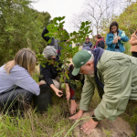 presentacion sendero 