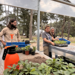 vivero 