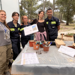 vivero 