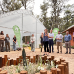 vivero 
