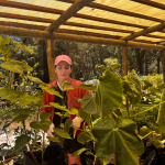 vivero