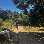 sendero 