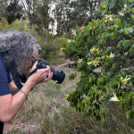 taller foto 